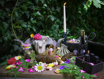 Wicca Pagan Natur Altar Skull Widder Schädel Blumen Altar by Christine Maria Grosche