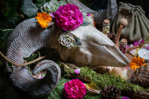 Wicca Pagan Natur Altar Skull Widder Schädel Blumen Altar von Christine Maria Grosche