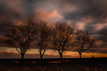 Natur Spiritualität  Baumkronen Abendrot Sonnenuntergang Winter von Christine Maria Grosche