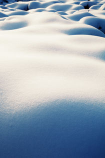 Erotic snowfield I by Thomas Schaefer