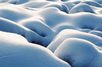 Erotic Snowfield IV by Thomas Schaefer