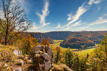 Goldener Herbst im Donautal von mindscapephotos