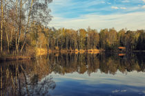 'Uferlandschaft mit Holzhütte am Moorsee im Pfrunger-Burgweiler Ried' by Christine Horn