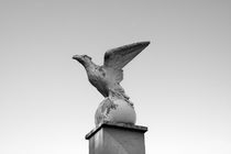 Imperial Eagle Rome von Julian Raphael Prante
