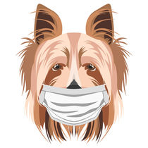 Illustration Hund Yorkshire Terrier mit Atemschutzmaske  von greenoptix