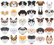 Illustration Hunde mit Atemschutzmaske Set von greenoptix