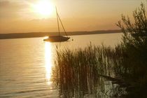 Boot in der Abendsonne  von Franziska Hub