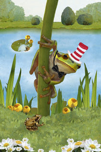 Mein lustiger Frosch Fridolin by Marion Krätschmer