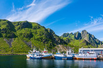 Fischerboote auf den Lofoten in Norwegen by Rico Ködder