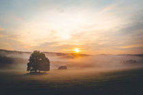 Nebelmorgen by Steffen Wenske