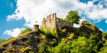 Burg Falkenstein (4) von Erhard Hess