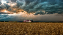 Away From the Storm von Tomas Gregor