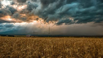 Away From the Storm von Tomas Gregor