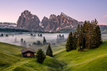 Morgennebel auf der Seiseralm in Südtirol von Achim Thomae