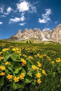 Frühling in Südtirol von Achim Thomae