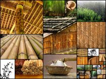 Collage of the many uses of bamboo in Taiwan by Yali Shi
