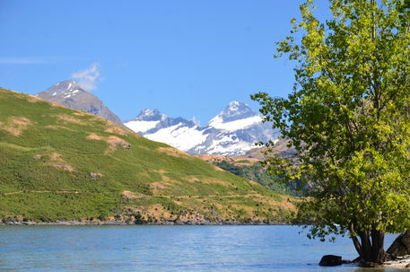 Nz-lake-and-mountain
