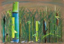 Bambus zart und stark von Doreen Trittel