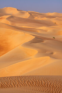 Rub al Khali Wüste by Achim Thomae
