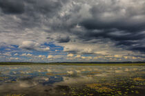 Uferlandschaft Federsee mit dunklen Wolken von Christine Horn
