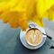 Kaffee-cappuccino-doreen-trittel00004