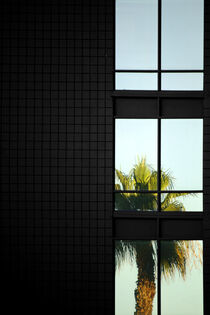 Tropenfenster  by Bastian  Kienitz