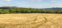 Barley Valley View von Malc McHugh