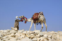 Ein Ägypter mit einem Kamel by Berthold Werner