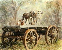 Country Dogs von Trudi Simmonds