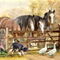 Featherwell-clydesdale-farm