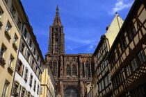 Straßburger Münster von Patrick Lohmüller