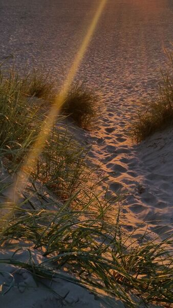 Dune-im-sonnenlicht