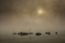 Boote vor Iznang auf der Halbinsel Höri im Nebel - Bodensee von Christine Horn