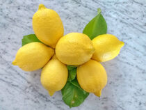 Zitronen by Heike Loos