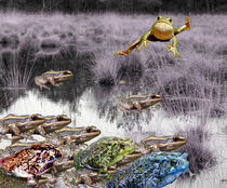 Ein Frosch springt über Frösche und Kröten by Eva Dust