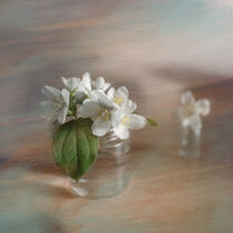 Apple flowers in a jar fantasy by Vladimir Tuzlay