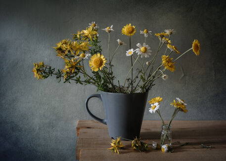 Vt1-2150-chamomile-flowers-in-a-cup