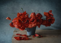 Red poppies in a cup