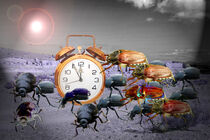 Für die Käfer ist es 5 vor 12 by Eva Dust