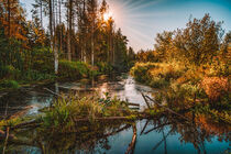 'Naturschutzgebiet Wilhelmsdorf' by mindscapephotos