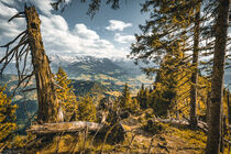 Ausblick Allgäuer Alpen by mindscapephotos