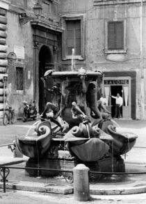 The Fontana delle Tartarughe (The Turtle Fountain) in Rome by Kostas Papaioannou