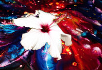Fließende Farben: Blüte by jumeswelt