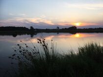 Sonnenuntergang zwischen Asbach und Schwarzenfeld von Xenia Wilk