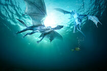 Two dragons fight underwater by Sven Bachström