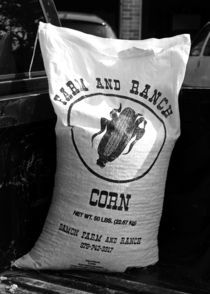 Bag Of Corn by Julian Raphael Prante