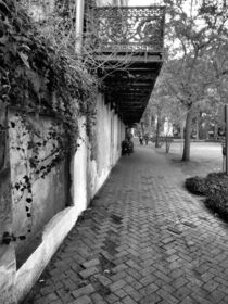 Savannah walkway  by O.L.Sanders Photography