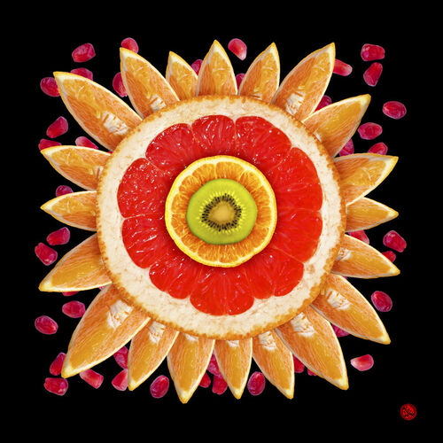 Fruchtstern-102x102-cm-kopie