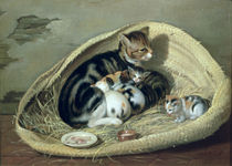 Cat with Her Kittens in a Basket by Samuel de Wilde