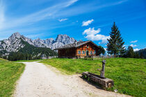 Blick auf die Litzlalm mit Hütte in Österreich by Rico Ködder